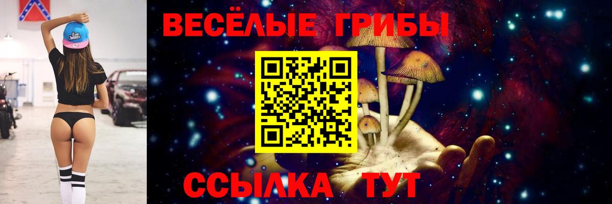 Псилоцибиновые грибы MAGIC MUSHROOMS  Вход с VPN  Кулебаки 